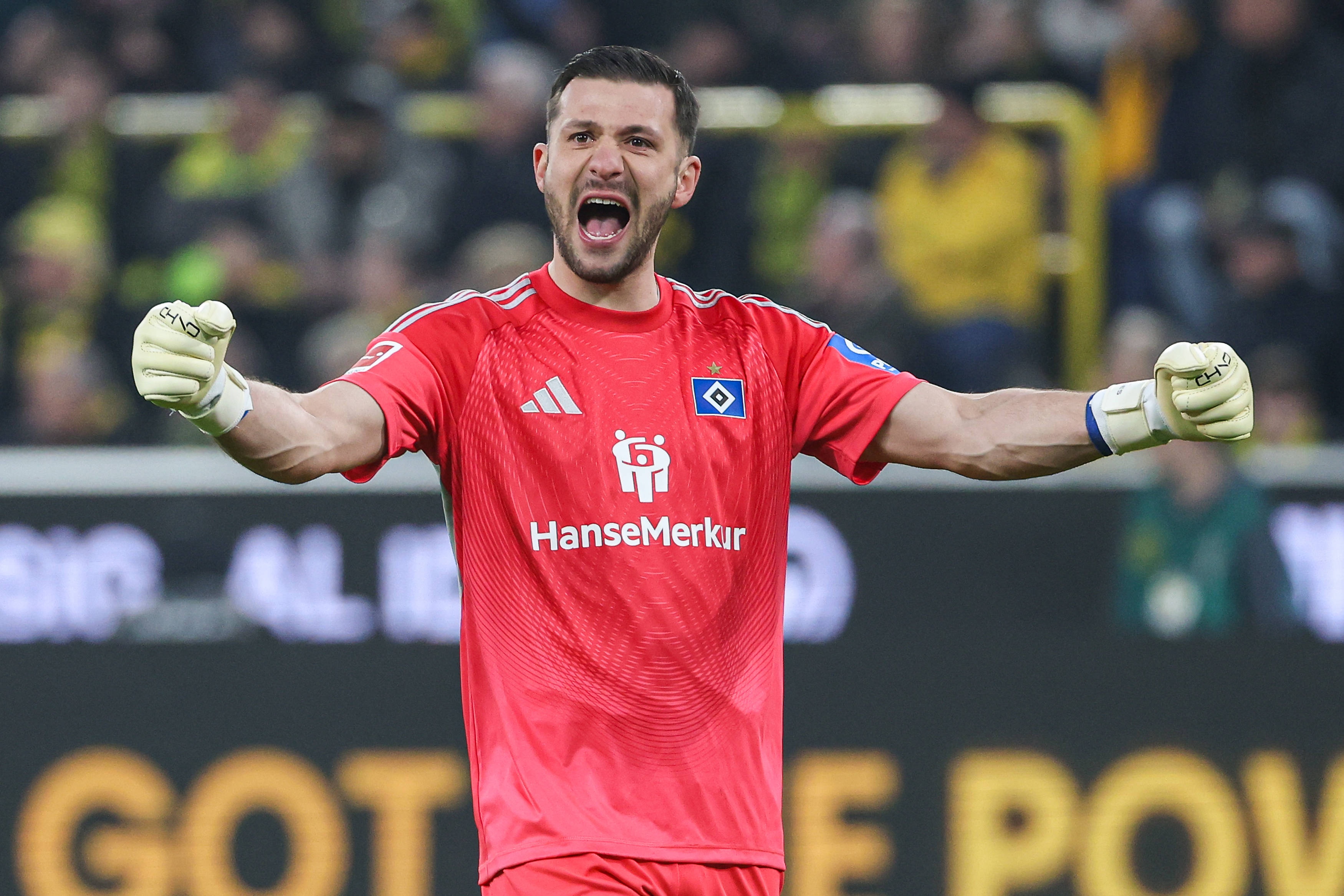 kaiyun-图片报:为下赛季寻找二号门将,拜仁有意汉堡33岁老将费尔南德斯